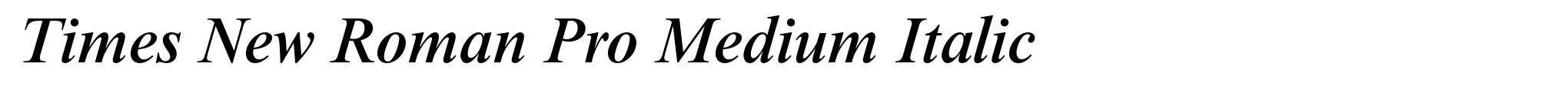 Times New Roman Pro Medium Italic image